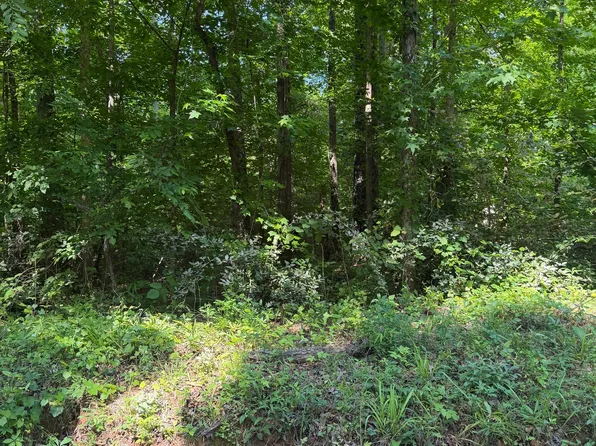 Pocahontas Stre Pocahontas St, Jackson, GA 30233