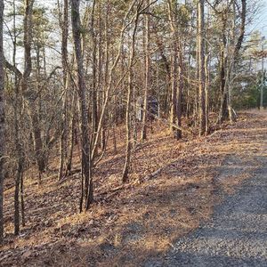 332 Paladin Dr NE #332, Ranger, GA, 30734