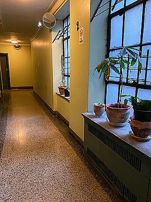 1st image of 4301 46th St APT 2G