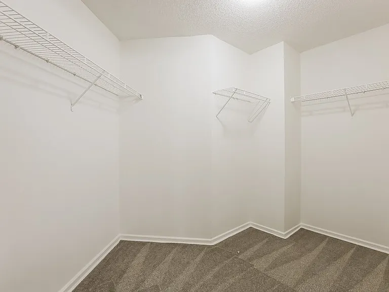 10841 Zimmerman Ln — Photo 10