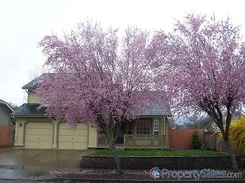 4425 Holly St photo 1