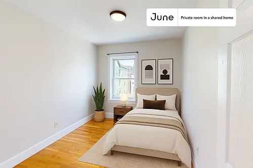 17 Highgate St Photo 1