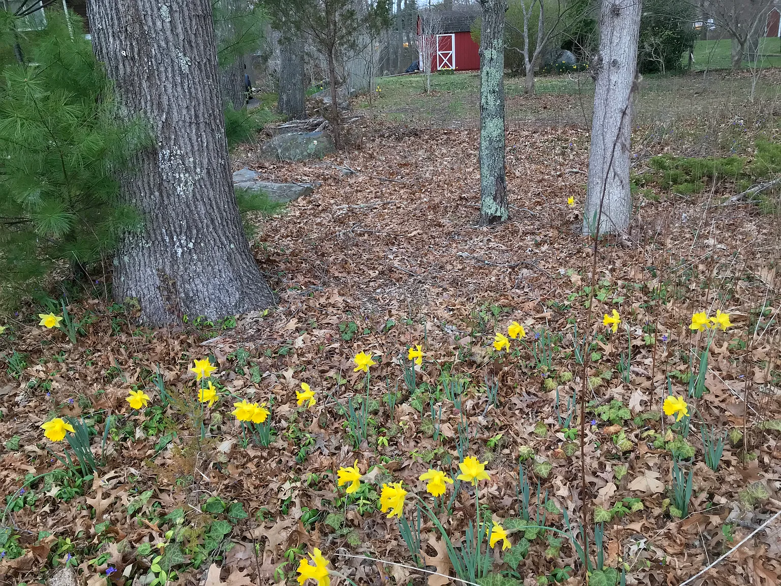 447 Boston Neck Rd — Photo 4