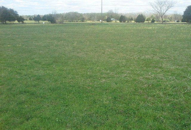 1st image of 145 Sunny View Ln