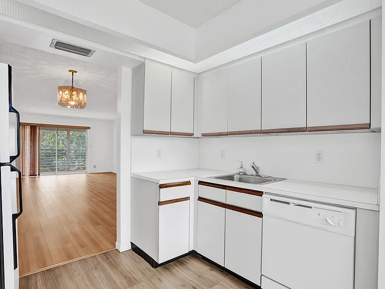 Dishwasher Sink