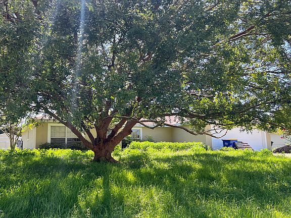 3rd image of 3116 Queen Palm Dr