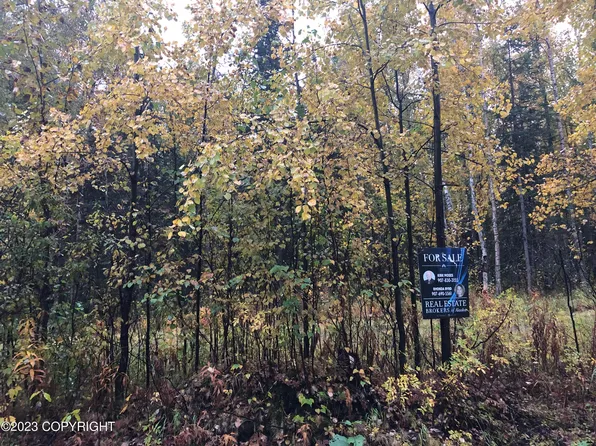 1004 E Carney Rd, Wasilla, AK 99654