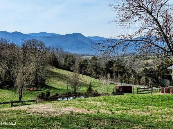 496 Nofattie Rd, Limestone, TN 37681