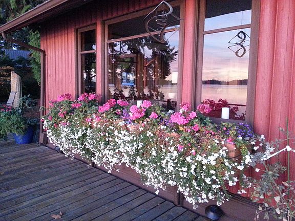 Back Deck