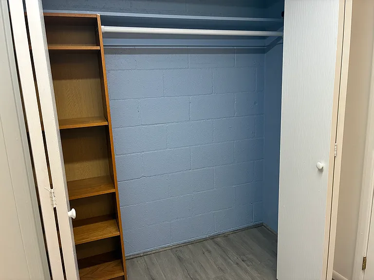 Downstaiers bathroom storage