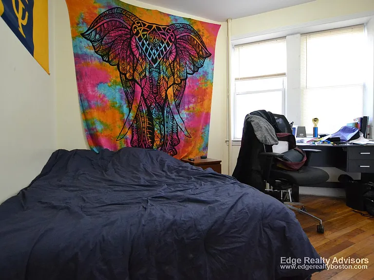 62 Egmont St #3A — Photo 8