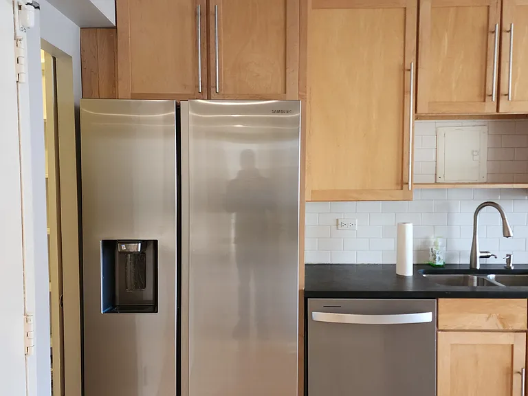 Newer fridge and dishwasher
