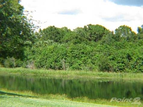 5th image of 7696 Camminare Dr