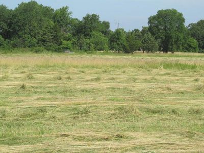 000 Owl Trail, Conway, MO, 65632