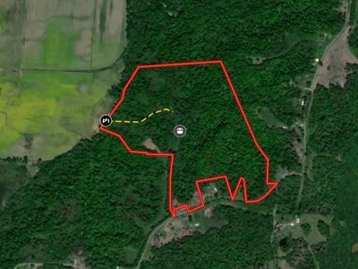 0 Bluff Rd, Hickman, KY, 42050