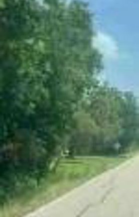 Exterior Neighborhood (street photo)