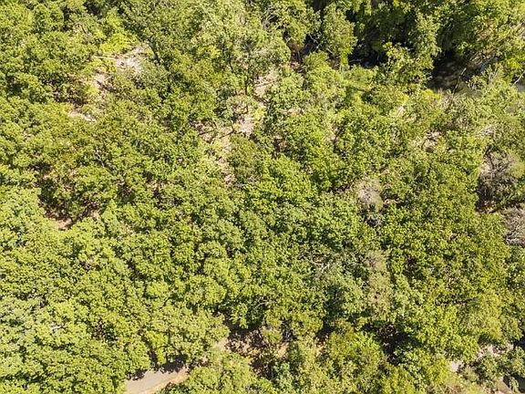 3rd image of 0 Hollow Tree Rd Lot 170