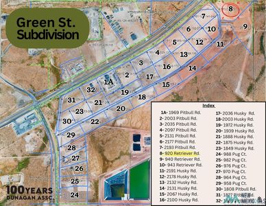 920 Retriever Rd, Carlsbad, NM, 88220
