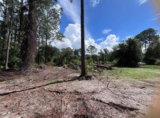 334 REDWOOD BOULEVARD LOT 38, GEORGETOWN, FL 32139