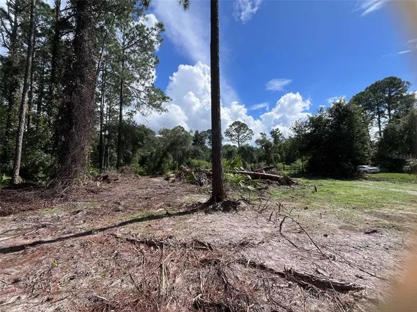 334 REDWOOD BOULEVARD LOT 38, GEORGETOWN, FL 32139
