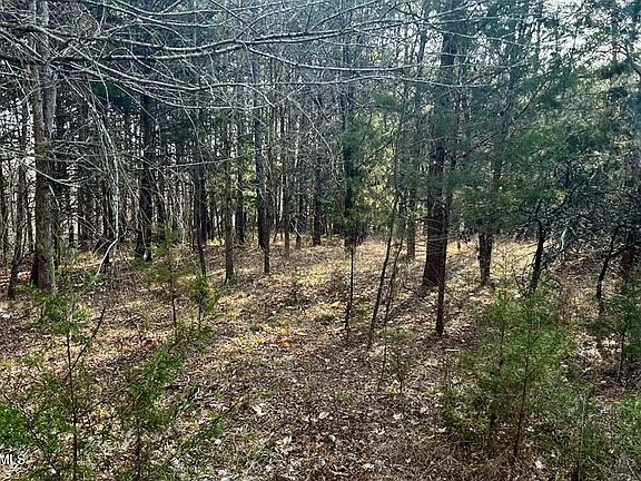 4th image of Elmore Rd Lot 2