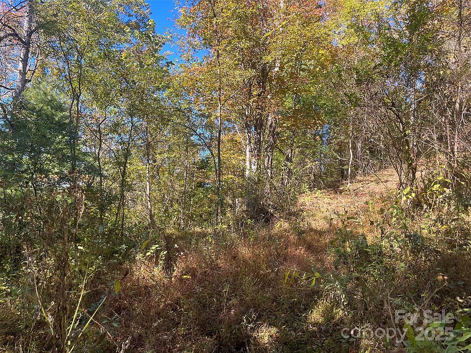 2nd image of 0 Upper Brush Creek Rd