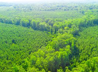 None None, Buena Vista, GA 31803