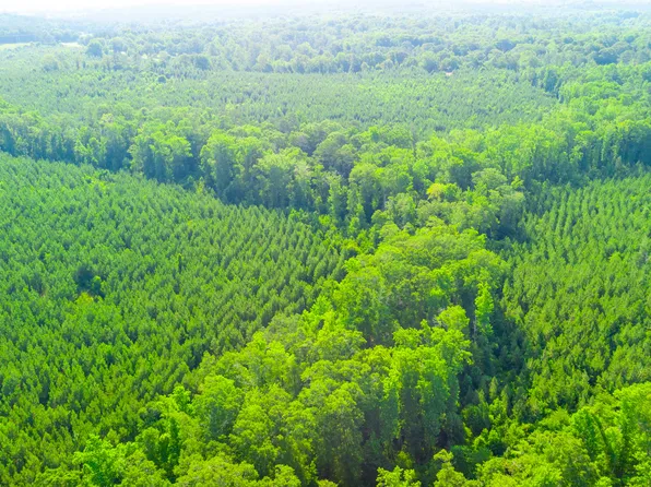 None None, Buena Vista, GA 31803