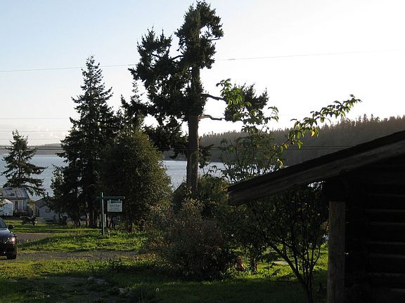 view