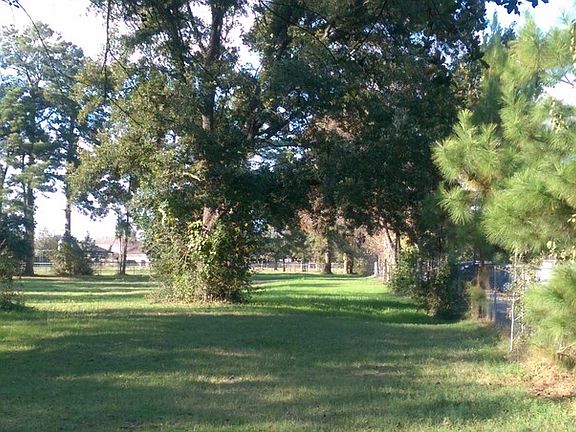 Looking North East along East fenceline at a large Oak