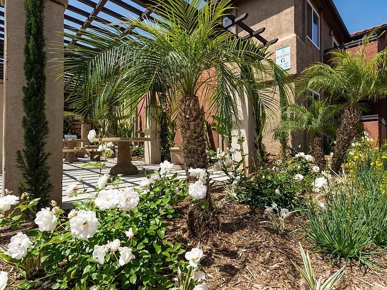 Artesia Escondido — Photo 20