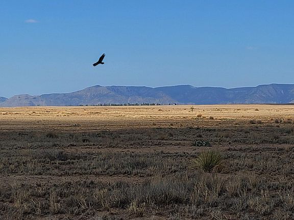 5th image of S Rio Del Oro Loop