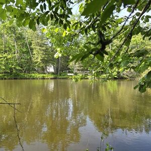 Martin Rd, Alpena, MI, 49707