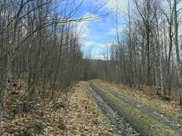 Lot 3-5 Coffin Road, Industry, ME 04938