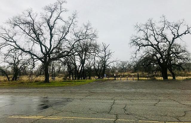 2nd image of 700 Sale Ln
