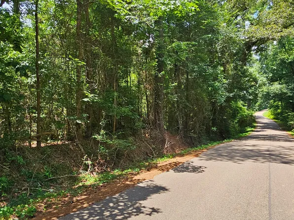 0 Jack Hall Rd, Mount Olive, MS 39119