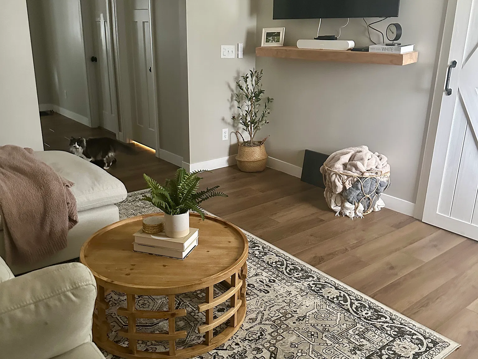 2 bed, 1000 sqft, $1,700 — Photo 2