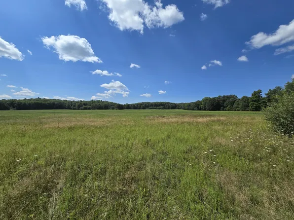 PARCEL Leckrone Rd #C, Brethren, MI 49619