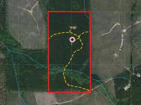 N Turnage Rd, Pelahatchie, MS 39145