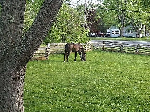 front yard