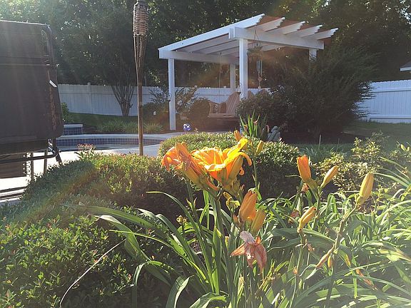 Gunite pool and pergola 