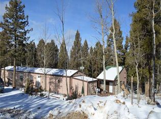 1064 Iris Rd, Woodland Park, CO 80863