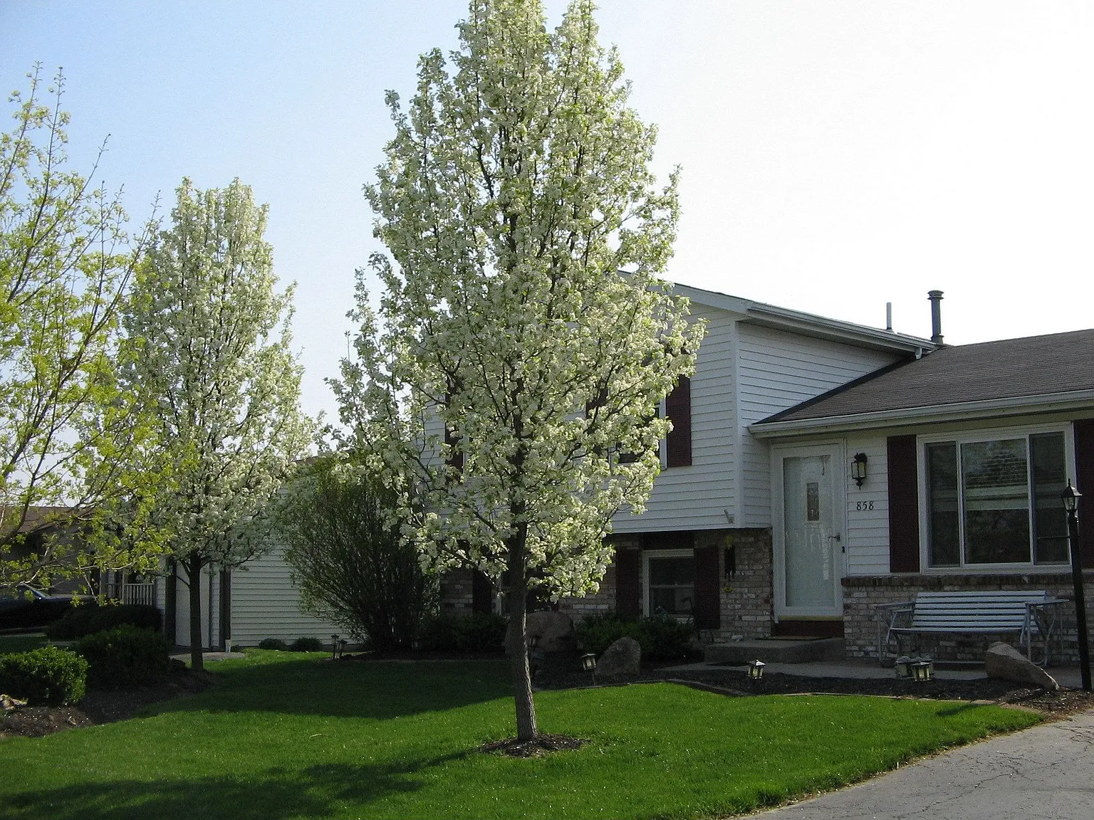 858 Cherry Bud Dr photo 1