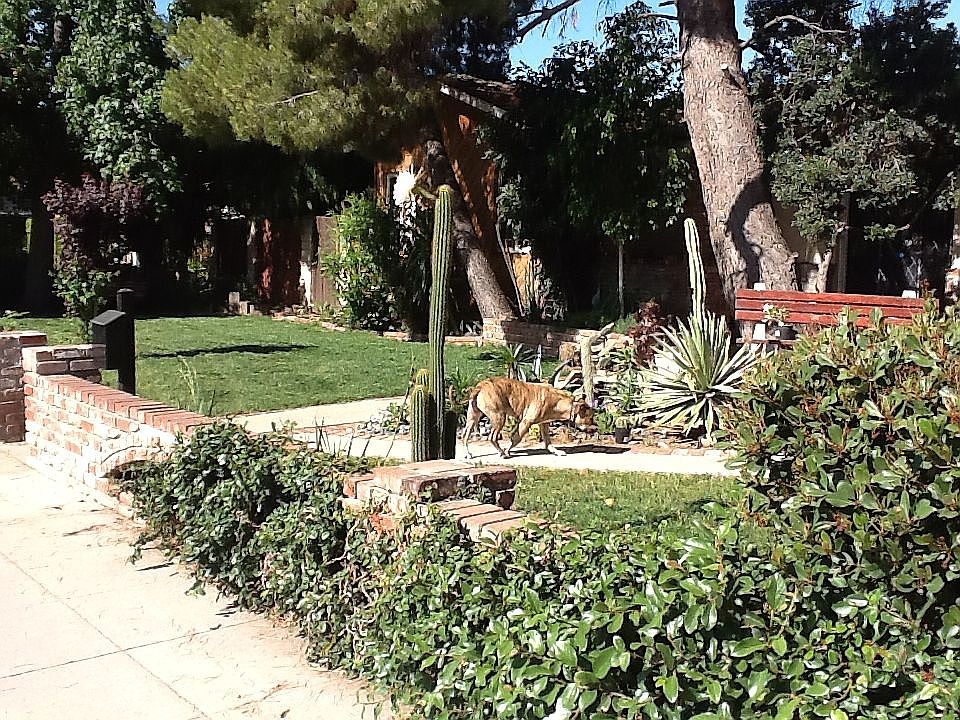 2nd image of 10957 Haskell Ave