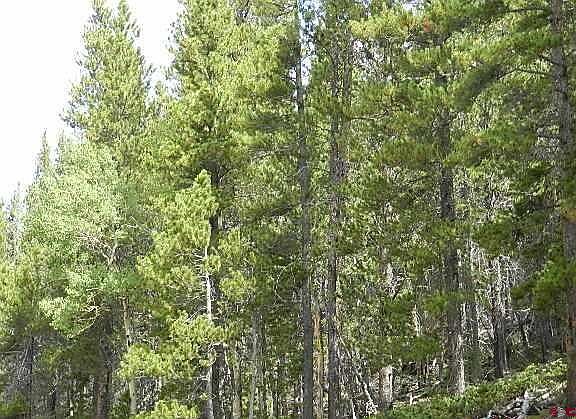 4th image of 1617 Kopf Lane