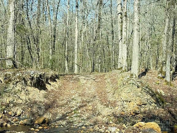 2nd image of Jones Valley Rd