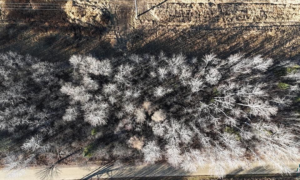 1st image of PARCEL Parmeter Rd #B