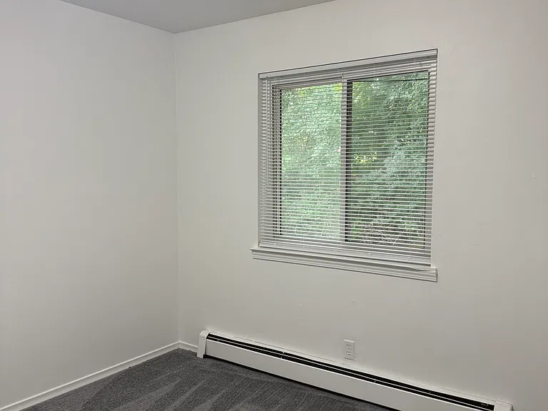 425 Elder St #5 — Photo 6