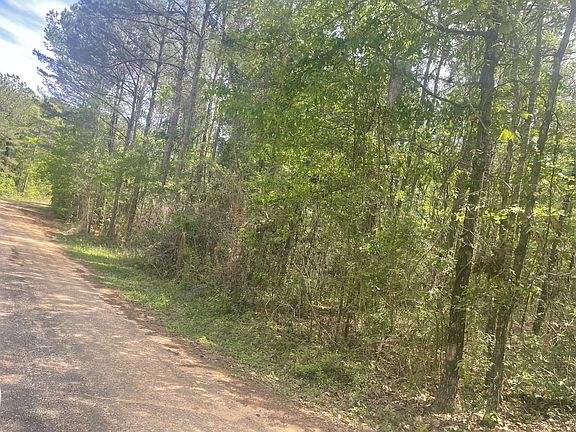 4th image of Debbie Brown Rd
