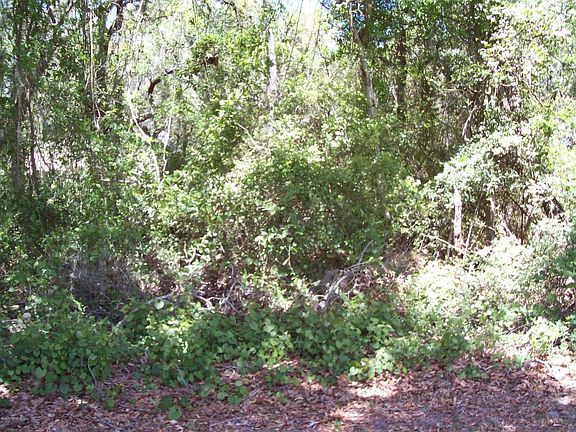 3rd image of 6031 Klare Dr